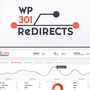 301 redirects pro 1.jpg