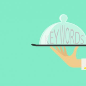 affiliate butler pro by wpruby 500x324 1.jpg