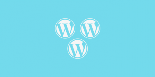 bnfw multisite add on 500x250 1.png