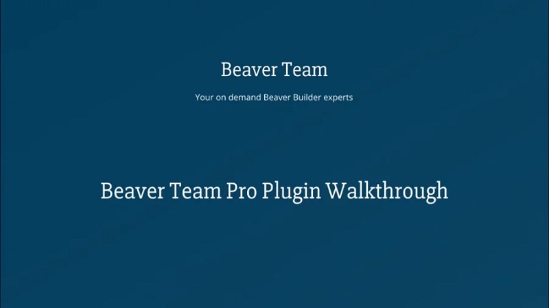 beaver team pro.jpg