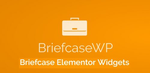 briefcase elementor widgets.jpg