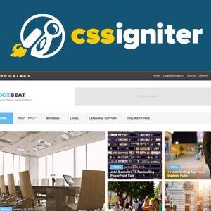 cssigniter wordpress themes 12.jpg