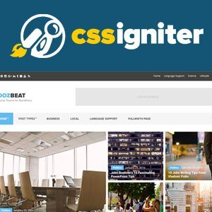 cssigniter wordpress themes 70.jpg
