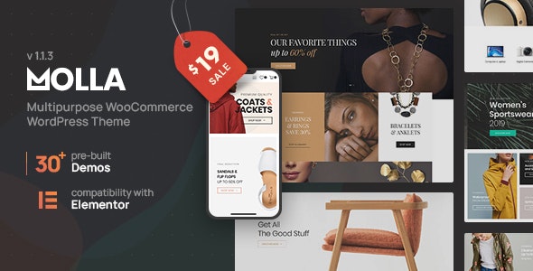 molla multi purpose woocommerce theme.jpg
