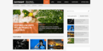 mythemeshop daynight 500x250 1.png