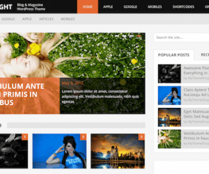mythemeshop daynight 500x250 1.png