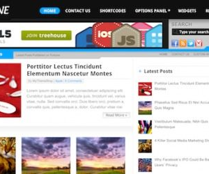 mythemeshop fortune 1 500x250 1 1.jpg