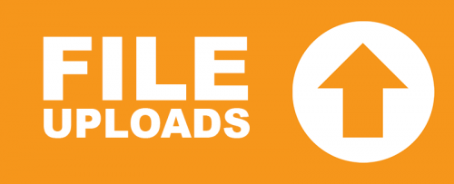 ninja forms file uploads 500x203 1.png