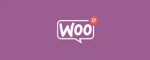 profile builder woocommerce sync add on 500x200 1.png