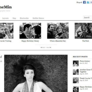 themify thememin 500x342 1.jpg