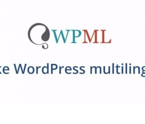 wpml multilingual cms 500x256 4.jpg
