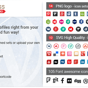 accesspress social icons pro.png