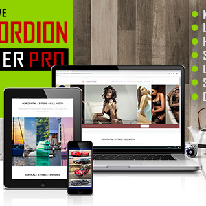 accordion slider pro 1.jpg