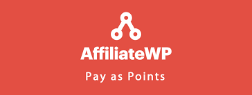 affiliatewp pay as points.png