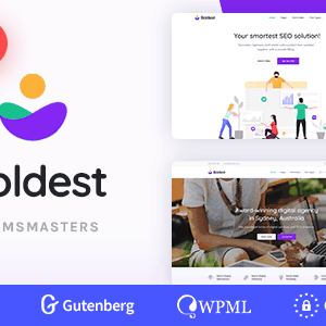 boldest consulting and marketing agency theme 1.png