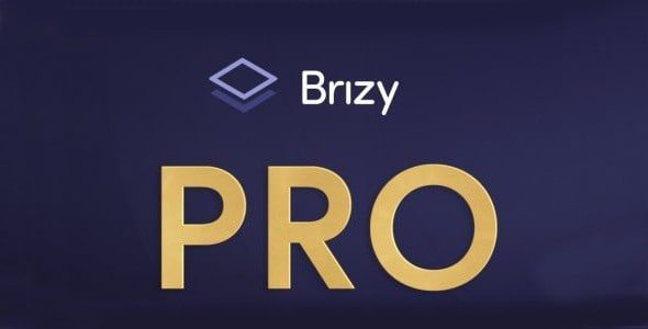 brizy pro.jpg