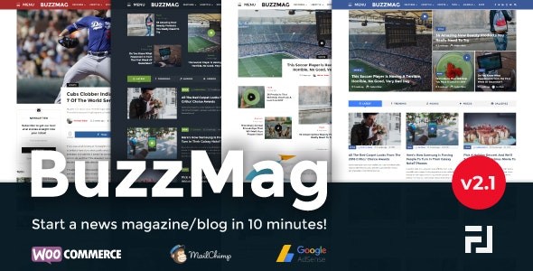 buzzmag viral news wordpress magazine blog theme.jpg