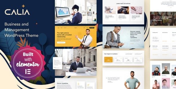 calia business and management wordpress theme.jpg
