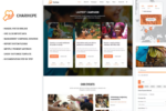 charihope charity and donation wordpress theme.png