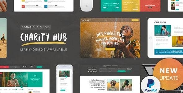 charity foundation charity hub wp theme.jpg