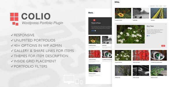colio responsive portfolio.jpg