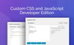 custom css and javascript developer edition.jpg