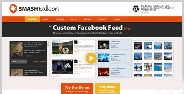 custom facebook feed pro addons.png