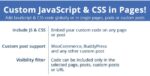 custom js css in pages.jpg