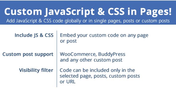 custom js css in pages.jpg