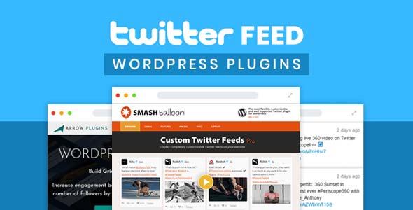 custom twitter feed pro.jpg