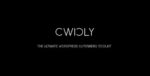 cwicly wordpress plugin.jpg