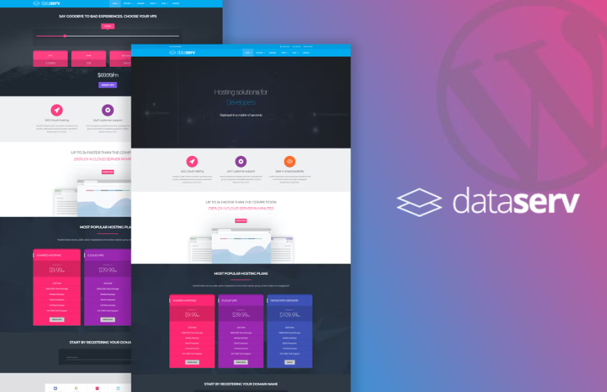 dataserv professional hosting wordpress theme.png