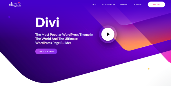divi builder.png