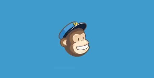 download monitor mailchimp lock.jpg