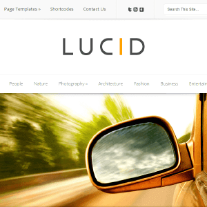 elegantthemes lucid.png