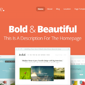 elegantthemes nimble.png