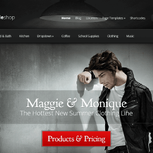 elegantthemes styleshop 1.png
