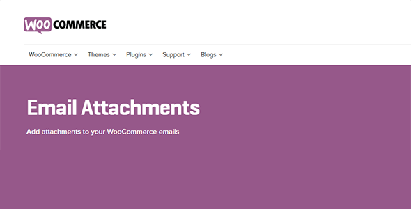 email attachments.png