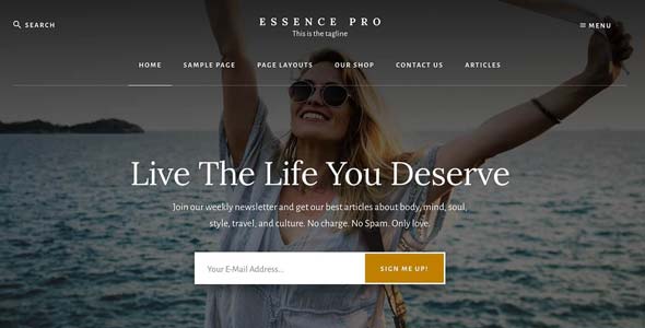 essence pro theme.jpg