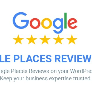 google places reviews pro 1.jpeg