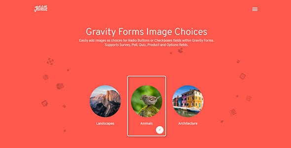 gravity forms image choices.jpg