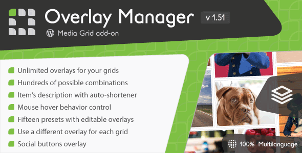 media grid overlay manager.png