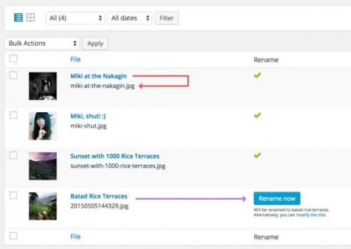 meow apps media file renamer 500x355 1.jpg