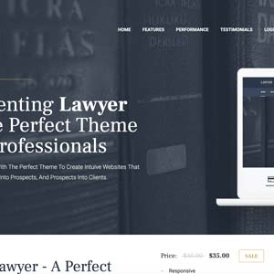 mythemeshop lawyer.jpg