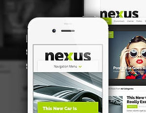 nexus elegant themes 1.jpg
