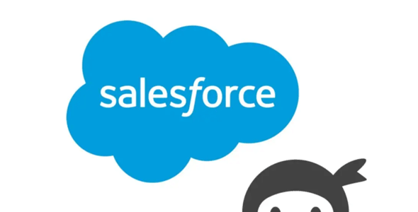 ninja forms salesforce.png