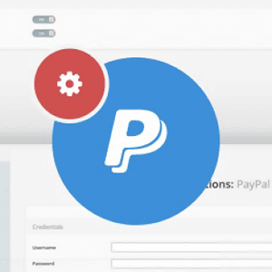 pay pal payments 1.png