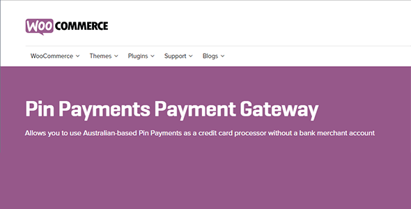 pin payments.png