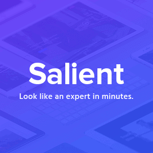 salientresponsive multi purpose theme 1.png