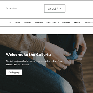 storefront galleria.png